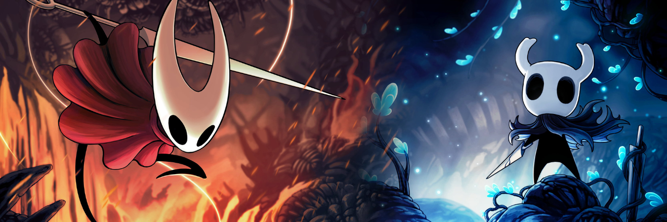 Hollow knight