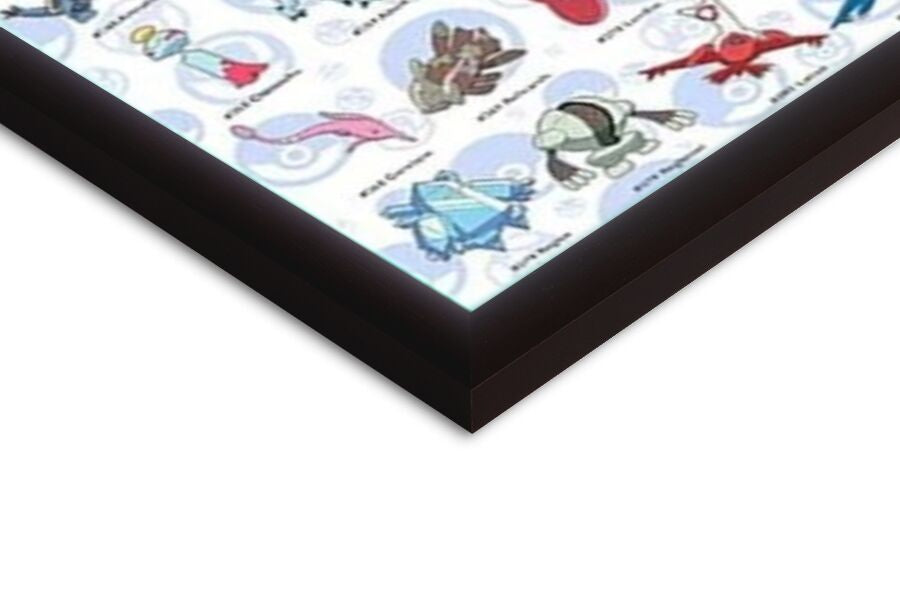 Pokemon - Johto Pokemon