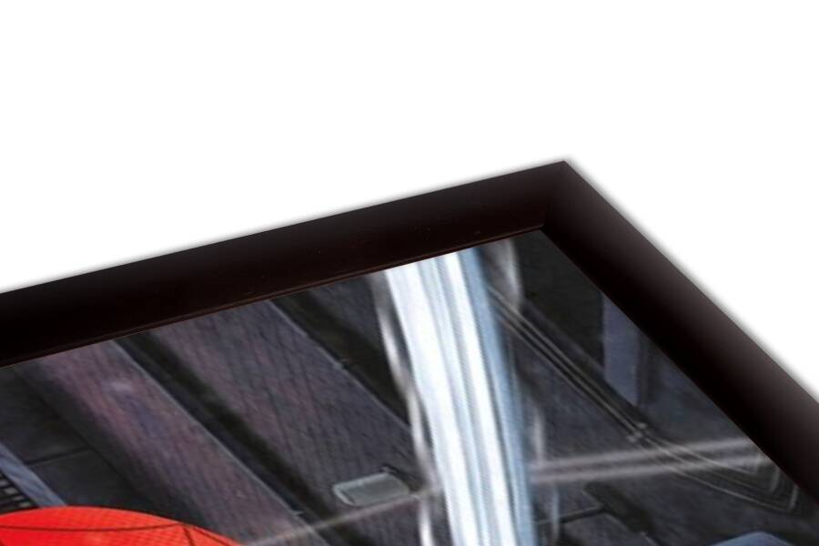 Spider-Man - Gotcha!