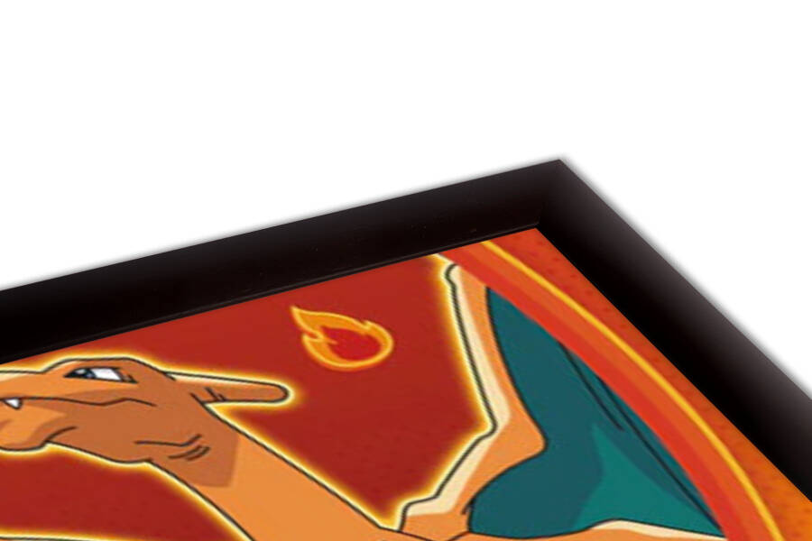 Pokemon - Fire Type