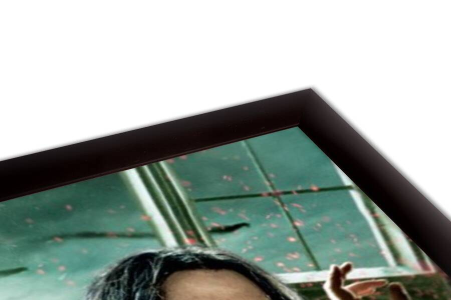 Harry Potter - Severus Snape