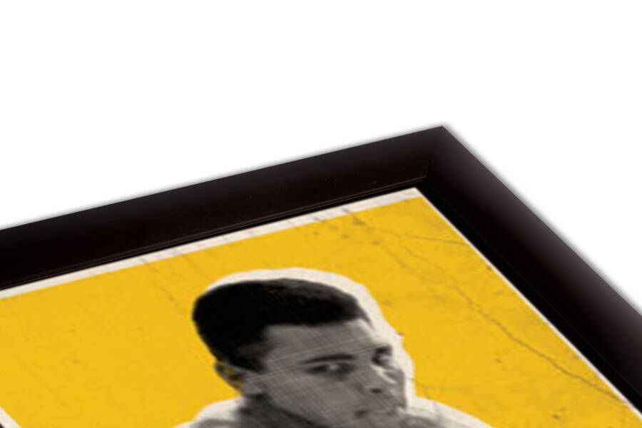 Muhammad Ali - float like a butterfly
