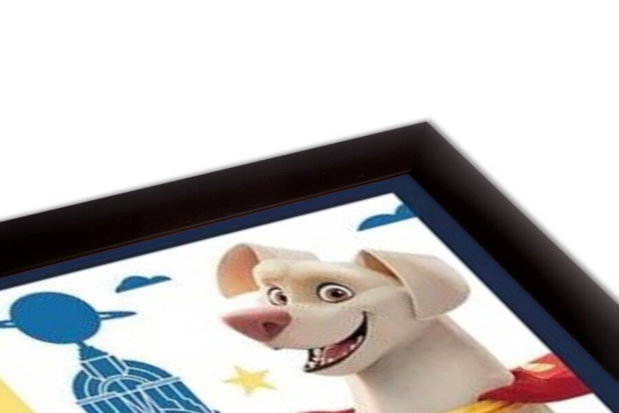 DC Super Pets - Activate