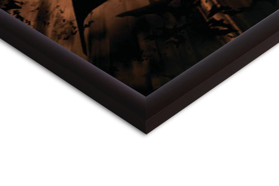 The Dark Knight Trilogy - Bat Wings