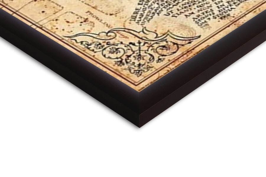 Harry Potter - Marauders Map