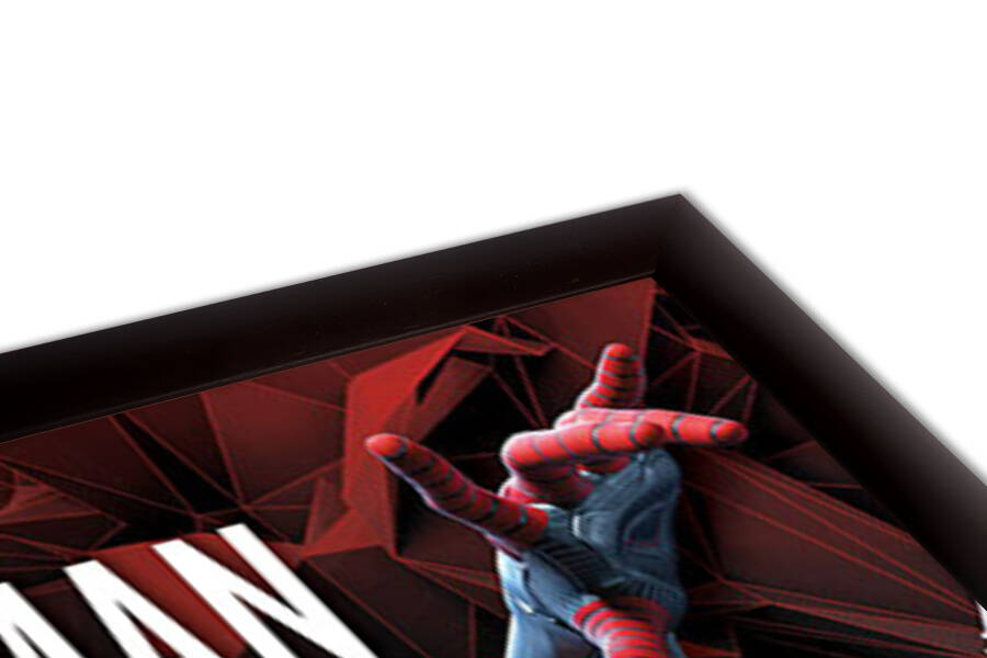 Spider-Man - Miles Morales