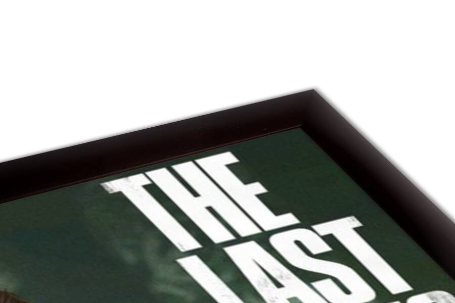 The Last of Us 2 - Ellie