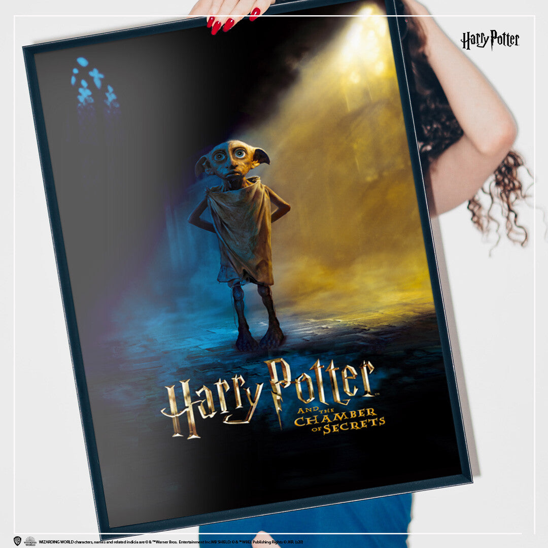 Harry Potter - Dobby