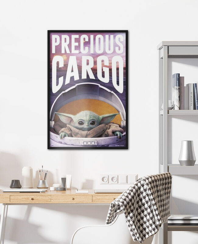 Star Wars: The Mandalorian - Precious Cargo