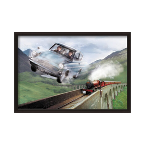 Harry Potter - Flying Ford Anglia