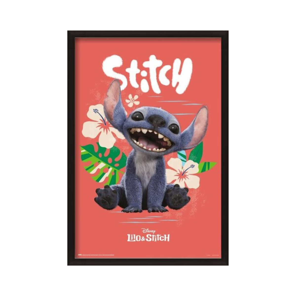 Lilo & Stitch - Stitch Live Action
