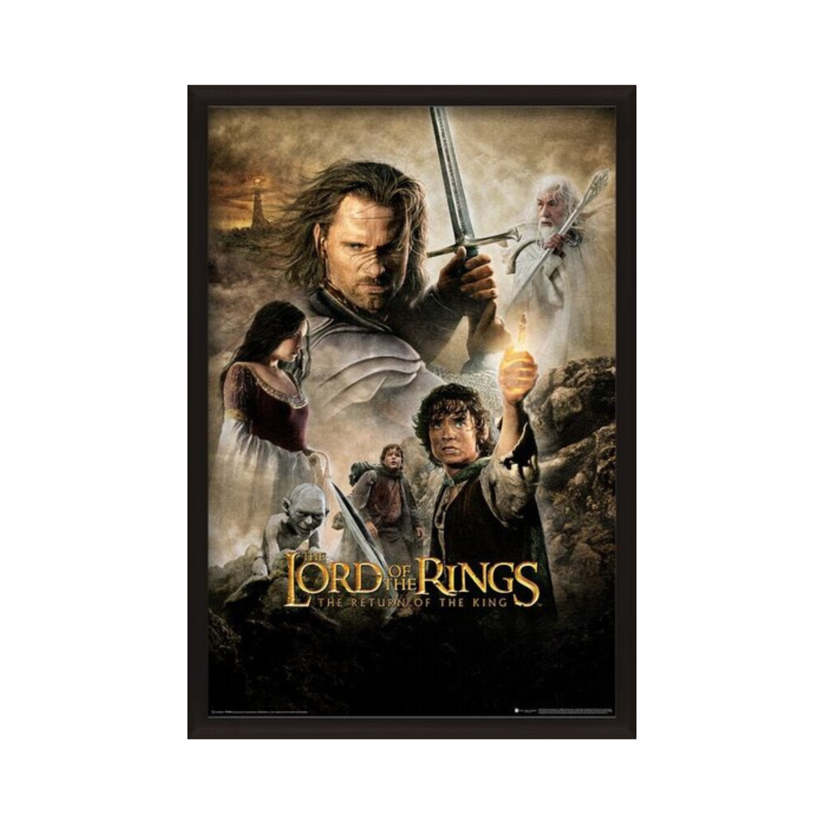Lord of the Rings - The Return of the King