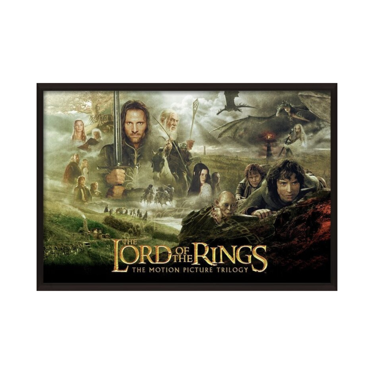 Lord of the Rings - Trilogy
