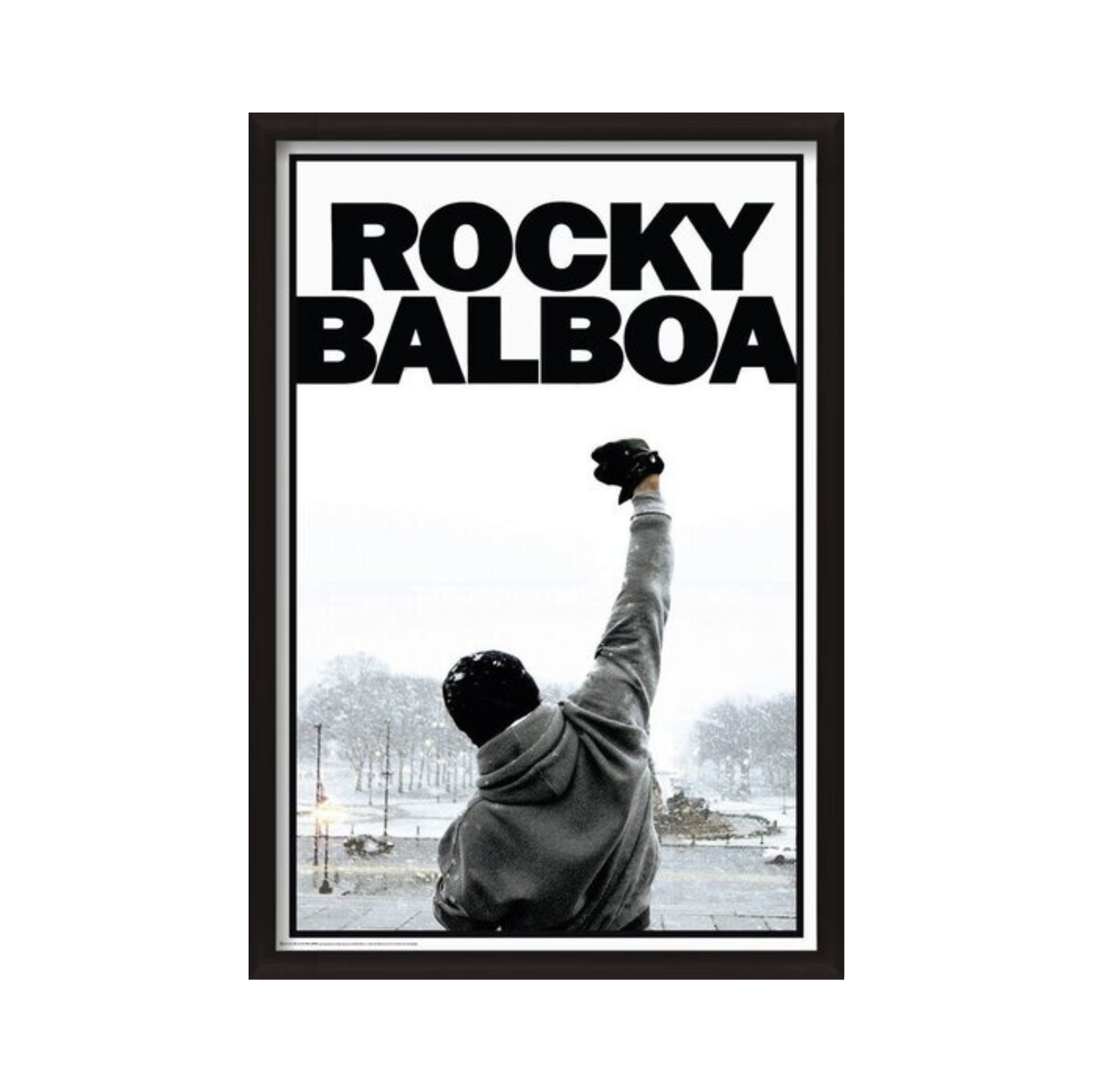Fighter Rocky Balboa