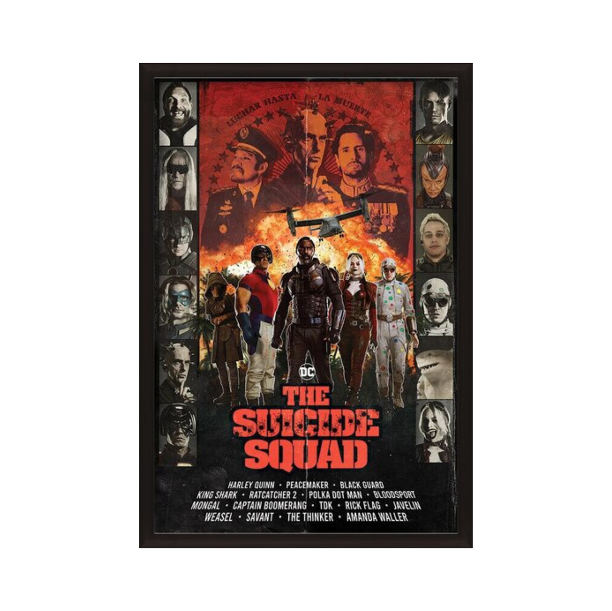 The Suicide Squad - Team