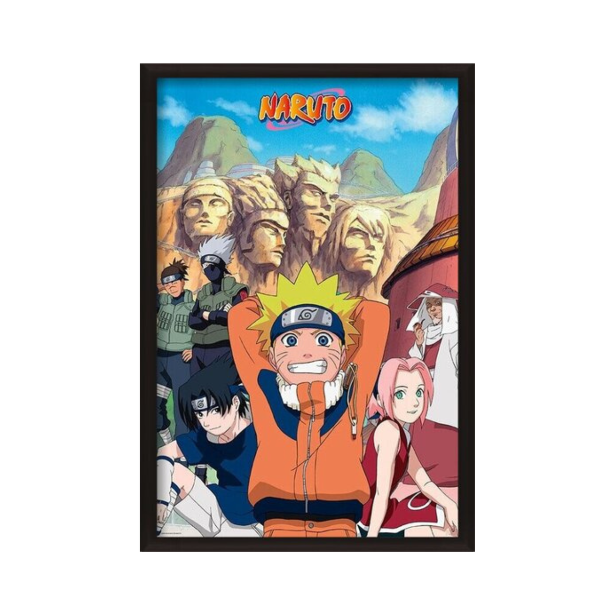 Naruto Shippuden - Group