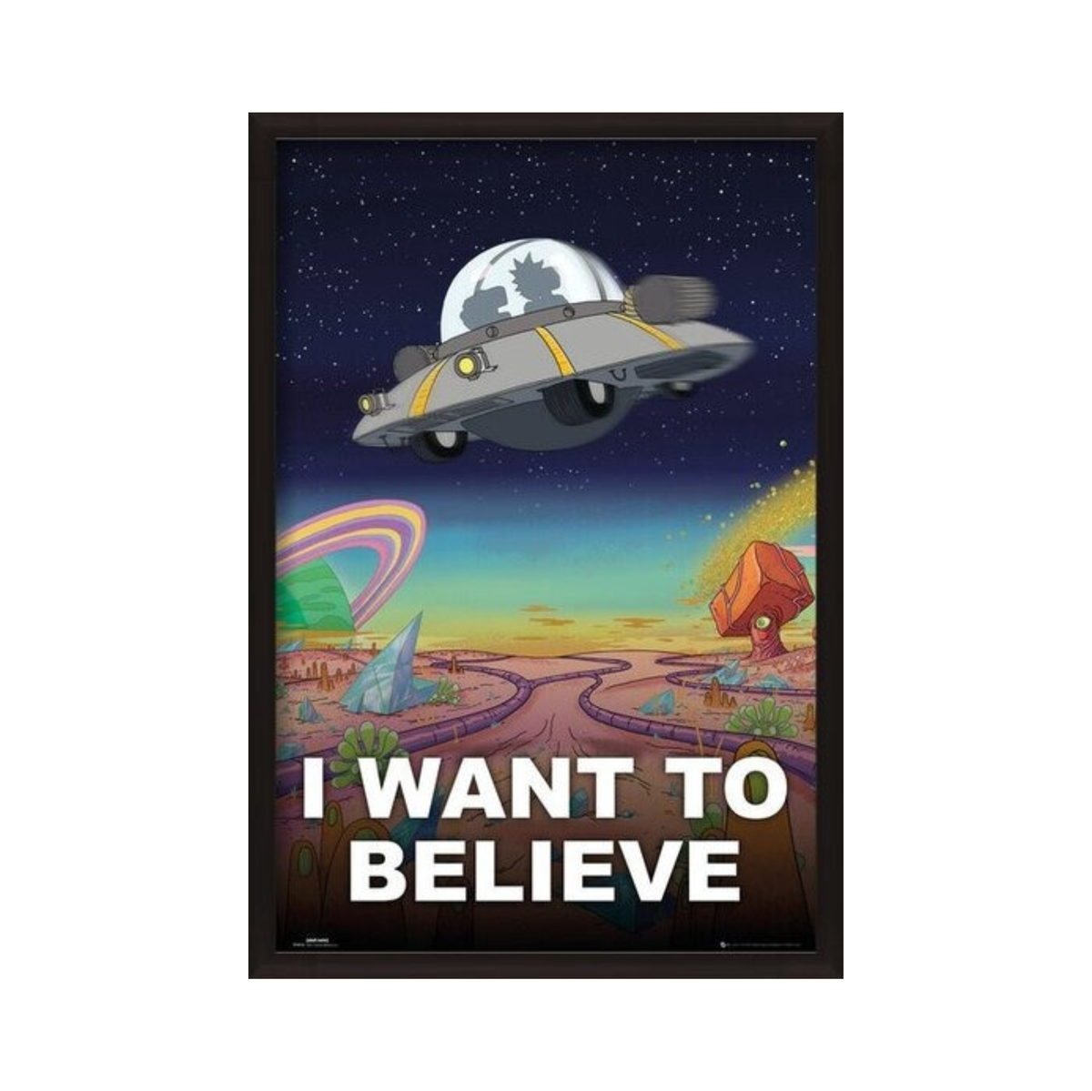 Rick y Morty - I Want To Believe