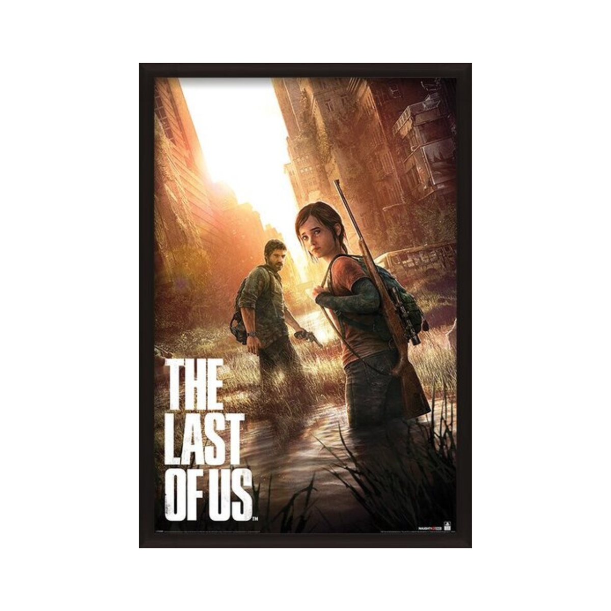 The Last of Us - Key Art