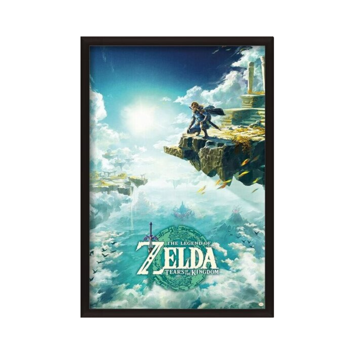 The Legend of Zelda: Tears of the Kingdom - Hyrule Skies