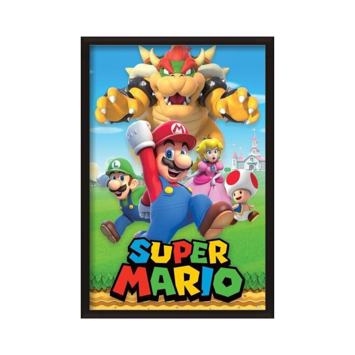 Super Mario - Character Montage