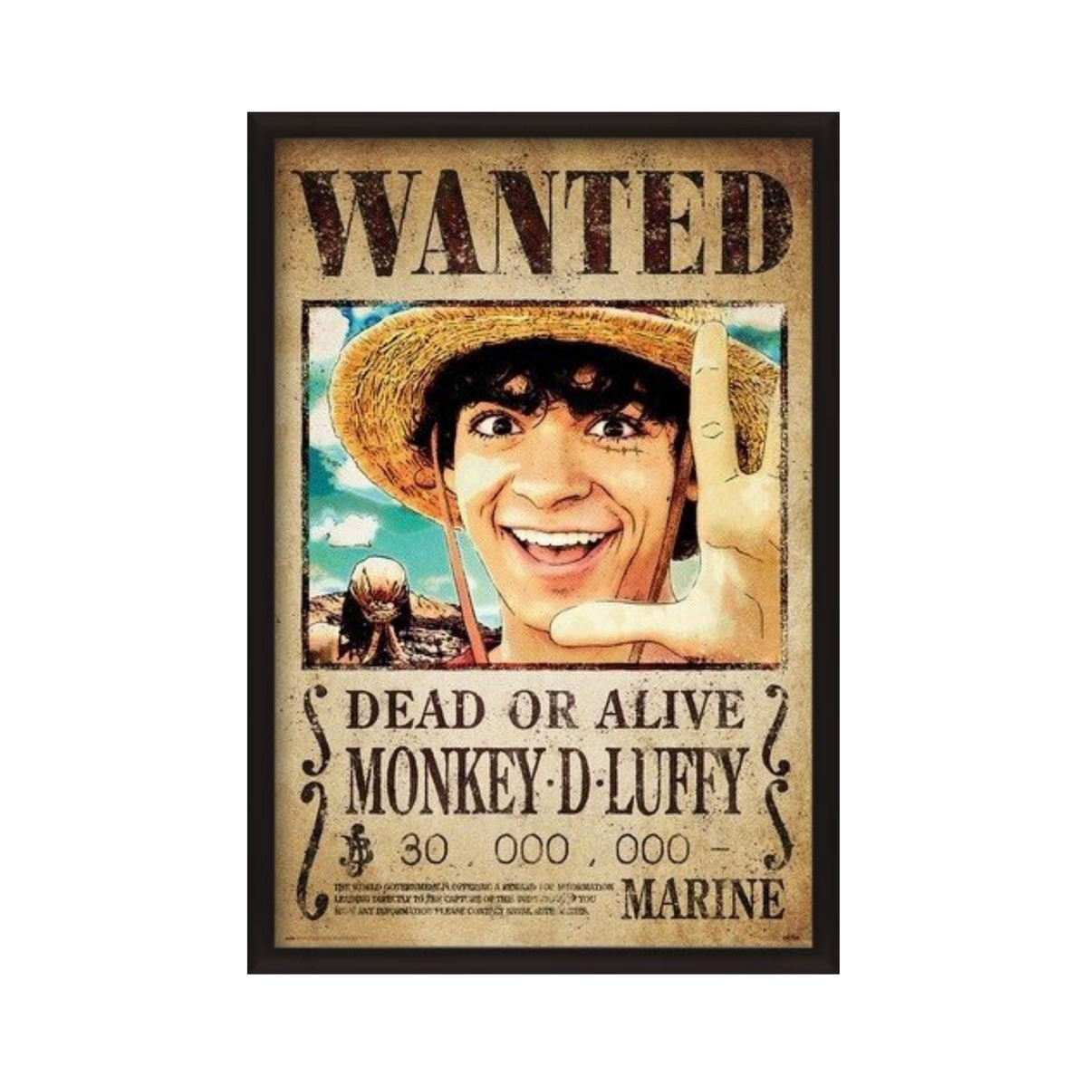 One Piece - Wanted Monkey D. Luffy