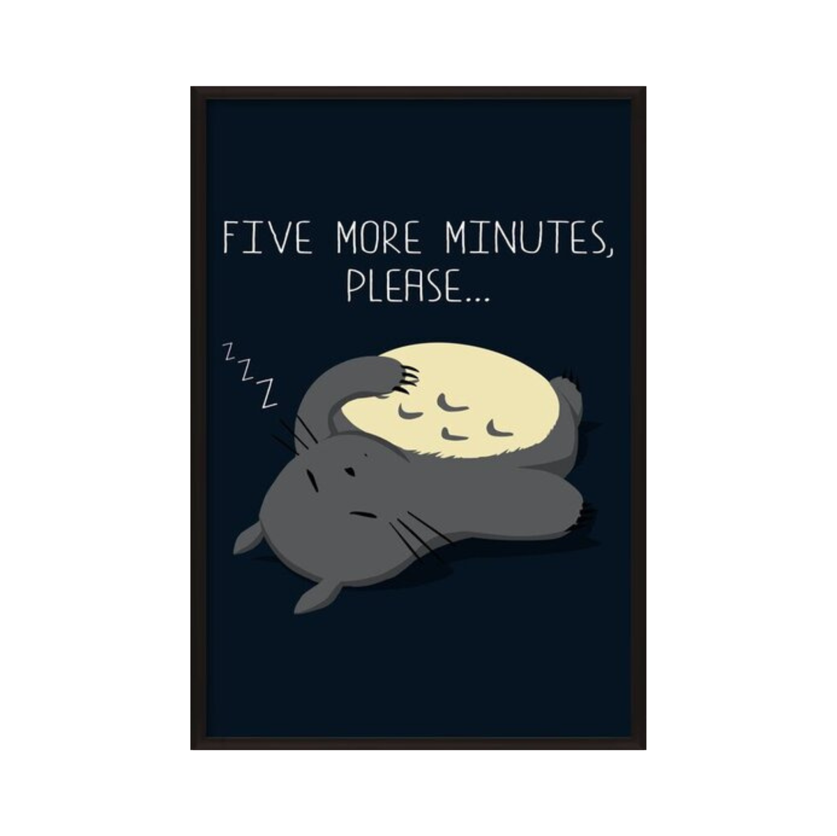 Sleeping Totoro