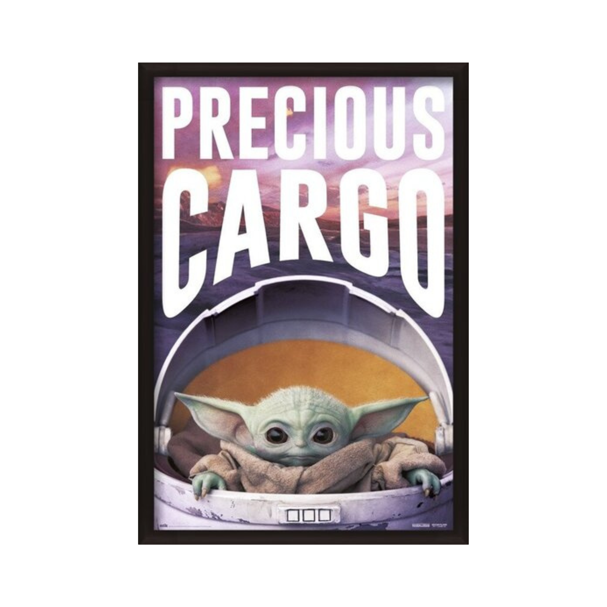 Star Wars: The Mandalorian - Precious Cargo
