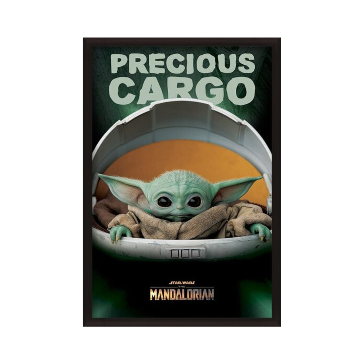 Star Wars: The Mandalorian - Precious Cargo (Baby…