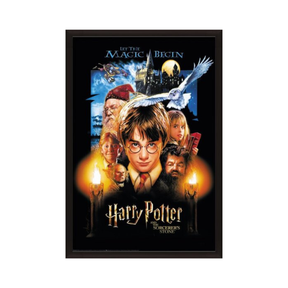 Harry Potter - La piedra filosofal