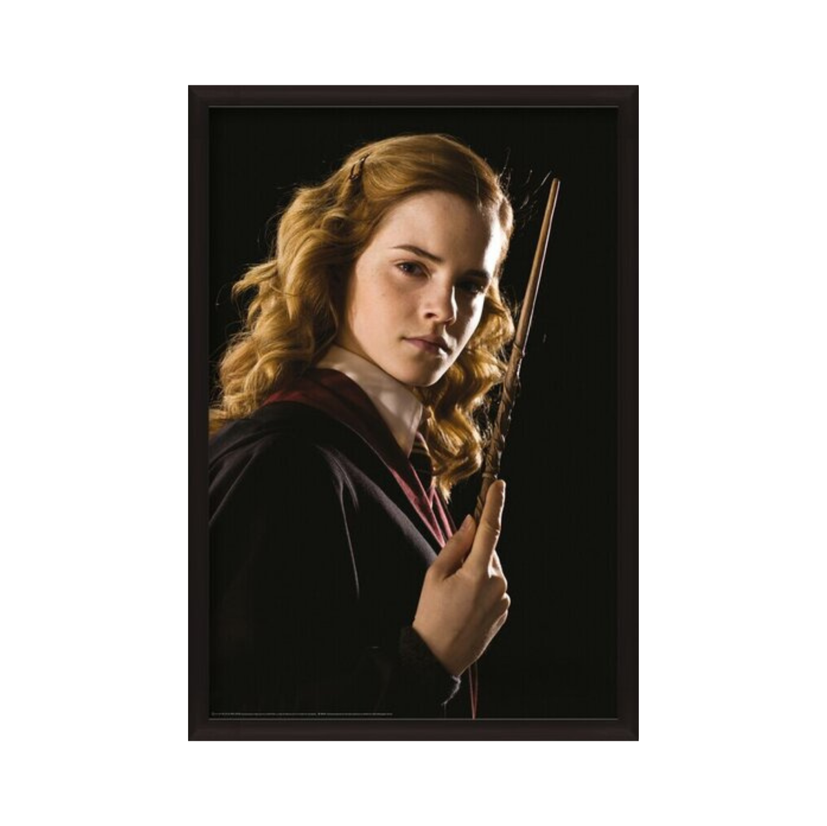 Hermione Granger (Emma Watson)