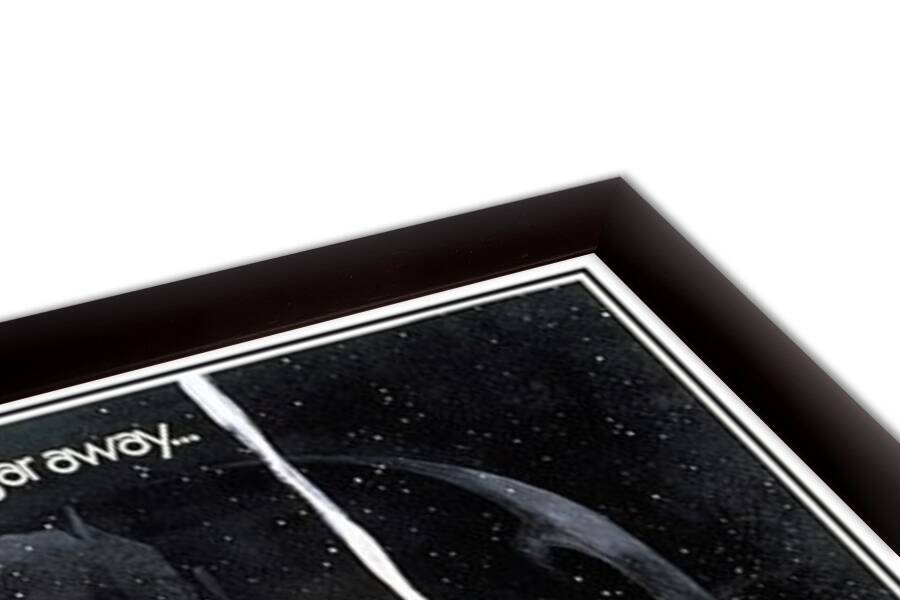 Star Wars - En la galaxia