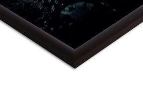 The Dark Knight Trilogy - Bat