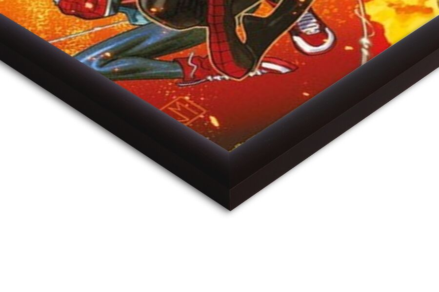 Marvel - Spider-Verse