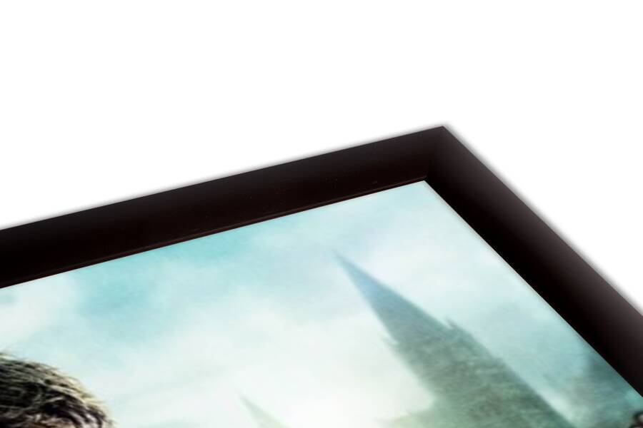 Harry Potter - Las Reliquias de la Muerte