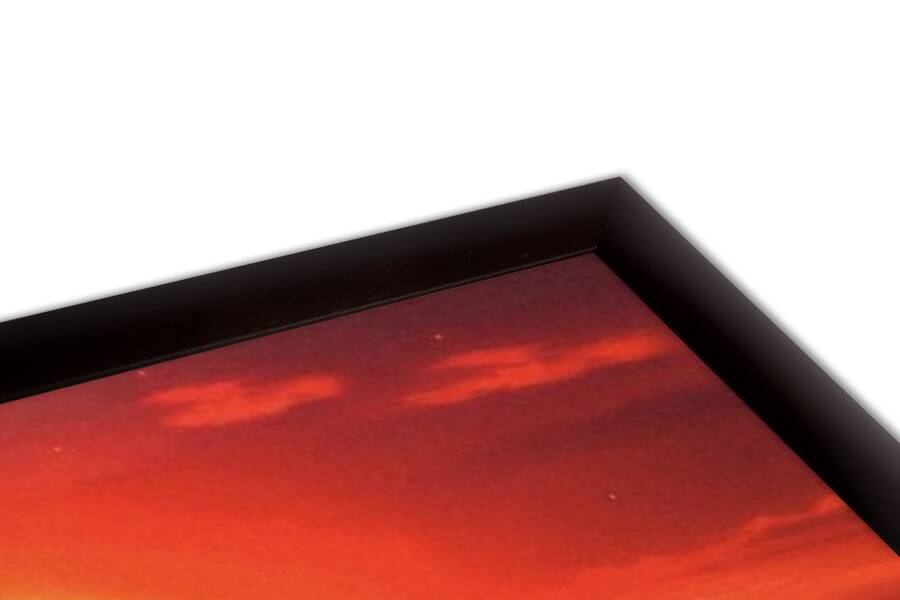 Sunset Western Red