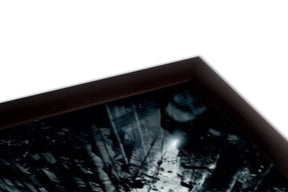 The Dark Knight Trilogy - Bat