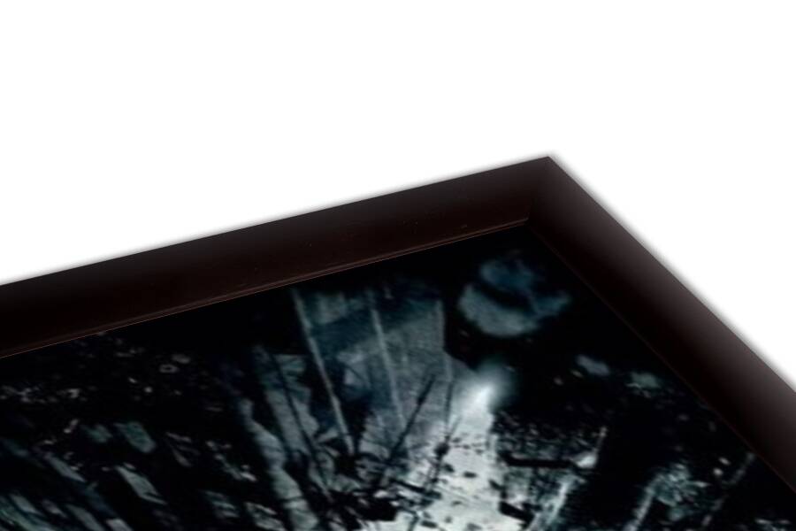 The Dark Knight Trilogy - Bat