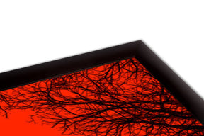 Silhouette Red Dead