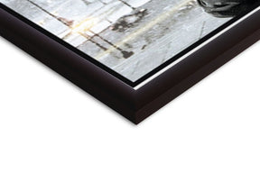 Fighter Rocky Balboa